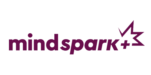 Mindspark Plus